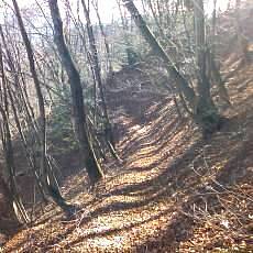 151230_p11.jpg