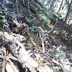 180428_p16.jpg