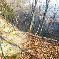 190302_p27.jpg