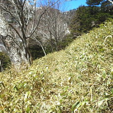 190420_p15.jpg