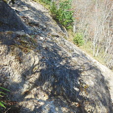 191104_p13.jpg