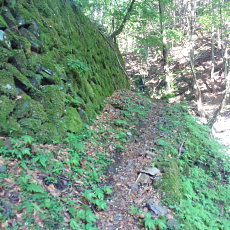 200605_p08.jpg