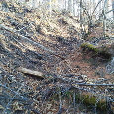 201117_p22.jpg