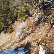 210315_p33.jpg
