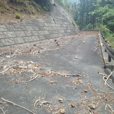 210515_p20.jpg
