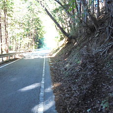 211020_p08.jpg