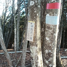 230304_p08.JPG