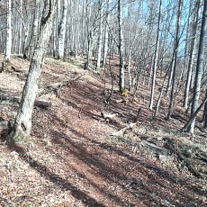 230414_p17.jpg