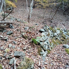 231030_p21.jpg