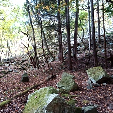 231030_p31.jpg