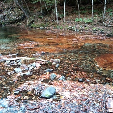 231030_p43.jpg
