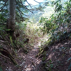 240612_p18.jpg