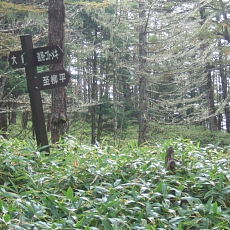 090926_n06.jpg