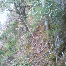 120430_p06.jpg