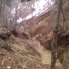 130303_p07.jpg