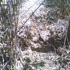130517_p24.jpg