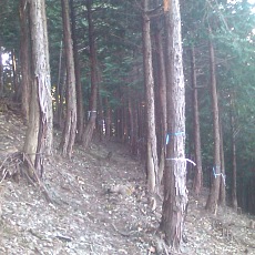150330_p03.jpg