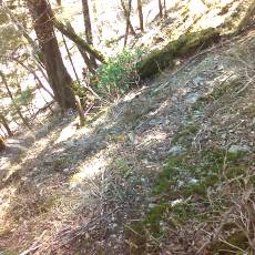 160505_p07.jpg