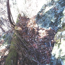 161112_p10.jpg