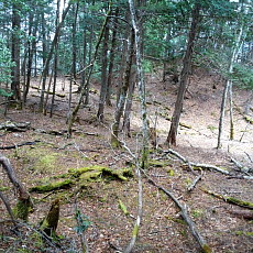 170429_p18.jpg