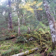 171008_p25.jpg