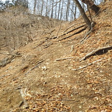 180329_p16.jpg