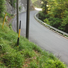 180603_p24.jpg