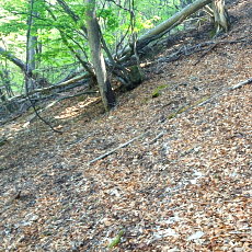 190518_p16.jpg