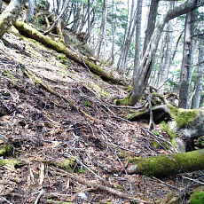 200024_p18.jpg