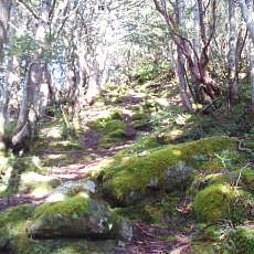 200921_p13.jpg