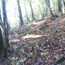 201018_p12.jpg