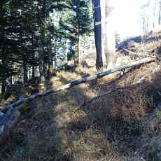 201117_p34.jpg