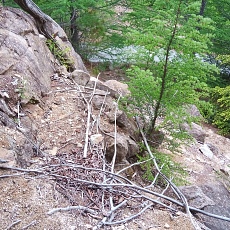 220618_p31.jpg