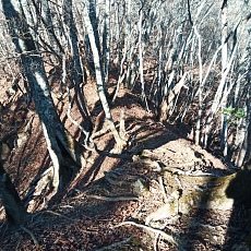 221127_p10.jpg
