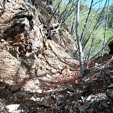 230502_p13.jpg