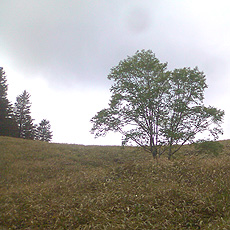 120630_p06.jpg