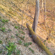 130428_p16.jpg
