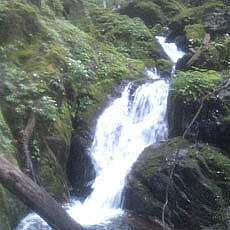 130726_p09.jpg