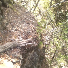 140517_p19.jpg
