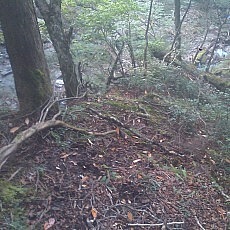 140913_p31.jpg
