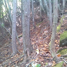 141011_p11.jpg