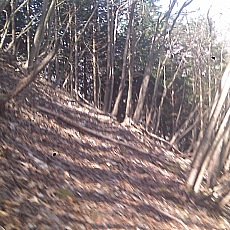 150330_p12.jpg