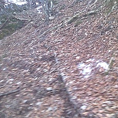 150331_p04.jpg