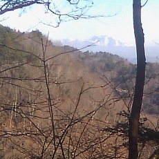 150331_p10.jpg
