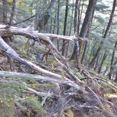 150523_p08.jpg