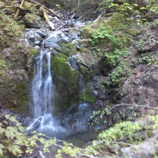 150605_p15.jpg