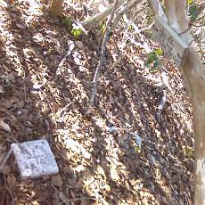 151230_p09.jpg