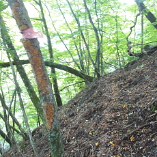 160925_p28.jpg