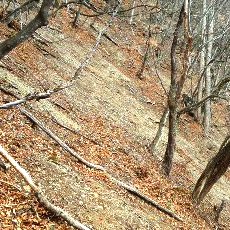 190323_p12.jpg