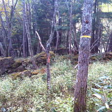 201004_p15.jpg